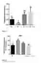 Fig. 04 - Active substance of , its use and a composition thereof for improving the reproductive function