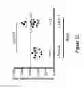 Fig. 23 - Methods and compositions for rejuvenating skeletal muscle stem cells