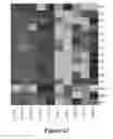 Fig. 24 - Methods and compositions for rejuvenating skeletal muscle stem cells