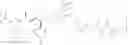 Fig. 03 - FORMULATIONS OF FOSAPREPITANT AND APREPITANT
