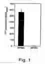 Fig. 02 - Attenuated strains