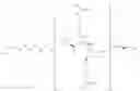 Fig. 03 - Cleavable conjugates of antibiotics and an antibacterial cell-penetrating peptide
