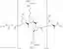 Fig. 22 - Cleavable conjugates of antibiotics and an antibacterial cell-penetrating peptide