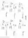 Fig. 04 - INSULIN-INCRETIN CONJUGATES