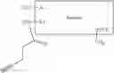 Fig. 96 - INSULIN-INCRETIN CONJUGATES