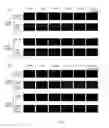 Fig. 04 - Photodynamic therapy composition