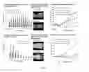 Fig. 08 - Photodynamic therapy composition