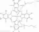Fig. 10 - Photodynamic therapy composition
