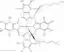 Fig. 12 - Photodynamic therapy composition