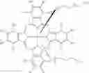 Fig. 19 - Photodynamic therapy composition