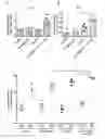 Fig. 01 - COMBINATION OF AN IMMUNE CHECKPOINT MODULATOR AND A COMPLEX COMPRISING A CELL PENETRATING PEPTIDE, A CARGO AND A TLR PEPTIDE AGONIST FOR USE IN MEDICINE