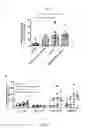 Fig. 09 - COMBINATION OF AN IMMUNE CHECKPOINT MODULATOR AND A COMPLEX COMPRISING A CELL PENETRATING PEPTIDE, A CARGO AND A TLR PEPTIDE AGONIST FOR USE IN MEDICINE