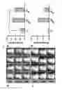 Fig. 05 - Membrane-lytic block copolymers