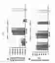Fig. 13 - Membrane-lytic block copolymers