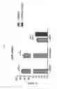 Fig. 15 - Membrane-lytic block copolymers