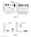 Fig. 03 - Methods for treating subjects suffering from acute myeloid leukemia with FLT3 ligand-targeted miR-150 nanoparticles