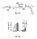 Fig. 04 - Methods for treating subjects suffering from acute myeloid leukemia with FLT3 ligand-targeted miR-150 nanoparticles