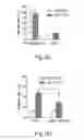 Fig. 05 - Methods for treating subjects suffering from acute myeloid leukemia with FLT3 ligand-targeted miR-150 nanoparticles