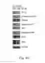 Fig. 10 - Methods for treating subjects suffering from acute myeloid leukemia with FLT3 ligand-targeted miR-150 nanoparticles
