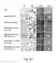 Fig. 14 - Methods for treating subjects suffering from acute myeloid leukemia with FLT3 ligand-targeted miR-150 nanoparticles