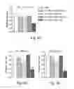 Fig. 16 - Methods for treating subjects suffering from acute myeloid leukemia with FLT3 ligand-targeted miR-150 nanoparticles
