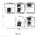 Fig. 23 - Methods for treating subjects suffering from acute myeloid leukemia with FLT3 ligand-targeted miR-150 nanoparticles