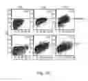 Fig. 24 - Methods for treating subjects suffering from acute myeloid leukemia with FLT3 ligand-targeted miR-150 nanoparticles