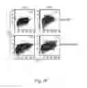 Fig. 25 - Methods for treating subjects suffering from acute myeloid leukemia with FLT3 ligand-targeted miR-150 nanoparticles