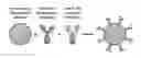 Fig. 01 - IMMUNOSWITCH NANOPARTICLES FOR REPROGRAMMED T CELL RESPONSES