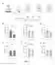 Fig. 06 - Methods and systems for noninvasive control of brain cells and related vectors and compositions