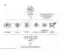 Fig. 01 - Gene therapy