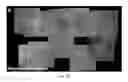 Fig. 07 - Methods for treating and diagnosing blinding eye diseases