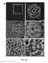 Fig. 13 - Methods for treating and diagnosing blinding eye diseases