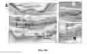 Fig. 22 - Methods for treating and diagnosing blinding eye diseases