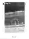Fig. 32 - Methods for treating and diagnosing blinding eye diseases