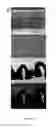 Fig. 40 - Methods for treating and diagnosing blinding eye diseases