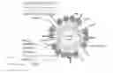 Fig. 01 - STABILIZED CROSSLINKED NANOBUBBLES FOR DIAGNOSTIC AND THERAPEUTIC APPLICATIONS