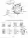 Fig. 02 - STABILIZED CROSSLINKED NANOBUBBLES FOR DIAGNOSTIC AND THERAPEUTIC APPLICATIONS