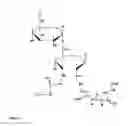 Fig. 02 - MODIFIED DEXTRAN CONJUGATES COMPRISING A LYSINE-UREA-GLUTAMATE PHARMACOPHORE