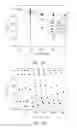 Fig. 13 - COMPOSITE STRUCTURE AND METHOD FOR MANUFACTURING THE SAME, METHOD FOR DEGRADING ORGANICS AND METHOD FOR STERILIZING