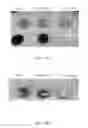 Fig. 14 - COMPOSITE STRUCTURE AND METHOD FOR MANUFACTURING THE SAME, METHOD FOR DEGRADING ORGANICS AND METHOD FOR STERILIZING