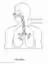 Fig. 06 - Collapsible conduit, patient interface and headgear connector