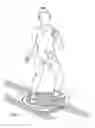 Fig. 02 - Multi-planar rotational platform and suspension exercise device