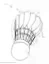 Fig. 01 - Artificial shuttlecock feather and shuttlecock