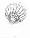 Fig. 03 - Artificial shuttlecock feather and shuttlecock