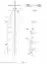 Fig. 07 - Artificial shuttlecock feather and shuttlecock
