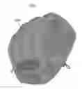 Fig. 01 - LIGHTWEIGHT BALL GLOVE