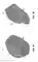 Fig. 02 - LIGHTWEIGHT BALL GLOVE