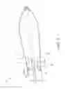 Fig. 08 - Vented ski with modified keel