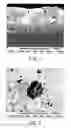 Fig. 02 - Catalytic coatings, methods of making and use thereof